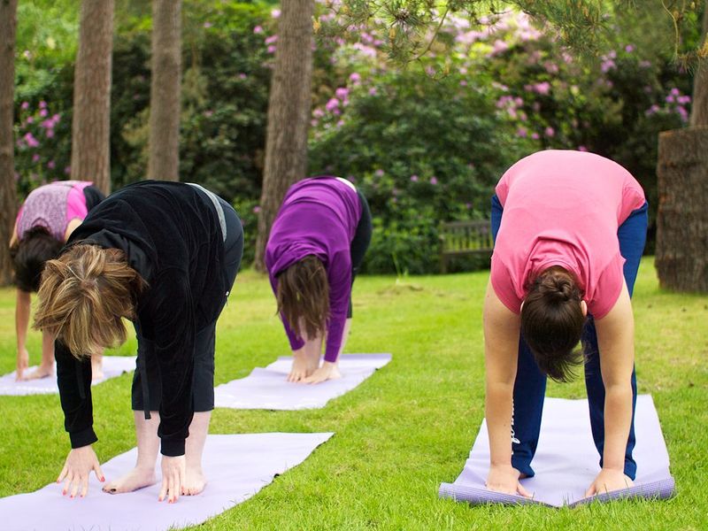 Yoga & Fitness