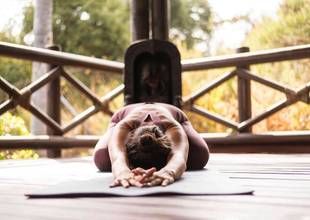 shantisomyoga.jpg