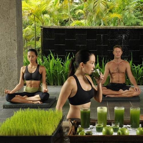 detox holidays